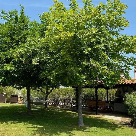 Rokosini Willa Vourvourou